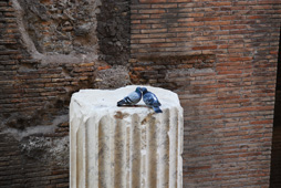 Love behind the Pantheon